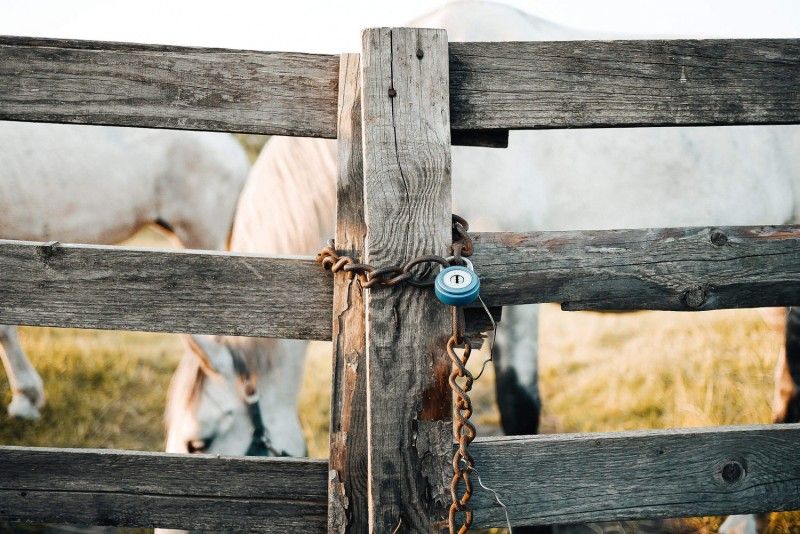 Change your password day old-locked-fence-2210x1475