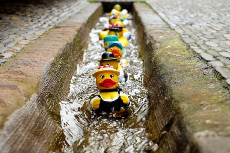 Rubber Duckie Day rubber-duck-bath-duck-toys-costume-106144